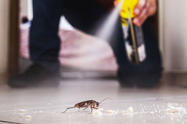 Best Pest Prevention Services  in USA